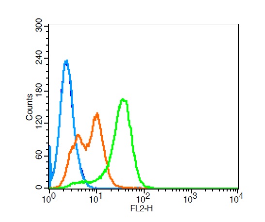 K562 cells probed with Leptin receptor Polyclonal Antibody, Unconjugated (bs-0961R)  at 3ug for 30 minutes followed by incubation with a conjugated secondary (PE Conjugated)  (green) for 30 minutes compared to control cells (blue), secondary only (light blue) and isotype control (orange).