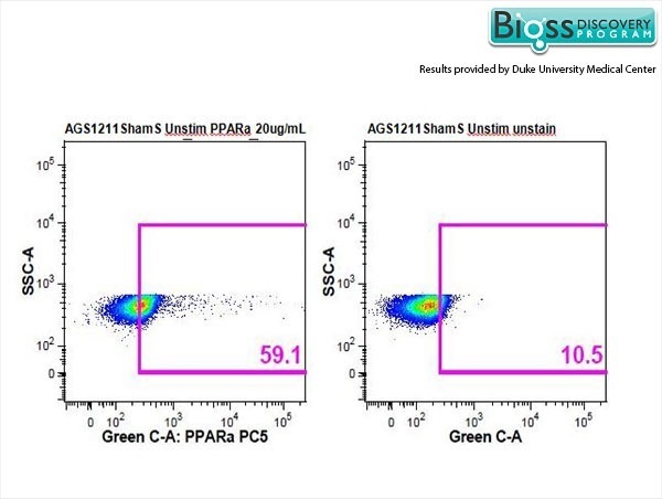 Arctic Ground Squirrel splenocytes stained with Anti-PPAR alpha Polyclonal Antibody, PE-CY5 Conjugated (bs-3614R-PE-Cy5) at 1:50.