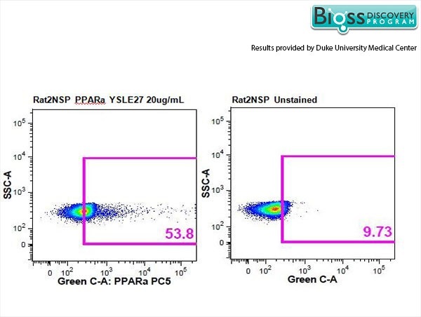 Rat splenocytes stained with Anti-PPAR alpha Polyclonal Antibody, PE-CY5 Conjugated (bs-3614R-PE-Cy5) at 1:50.