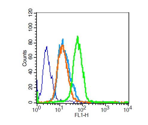 U251 cells probed with Survivin Polyclonal Antibody, Unconjugated (bs-0615R) for 30 minutes followed by incubation with a conjugated secondary (FITC Conjugated) (green) for 30 minutes compared to control cells (blue), secondary only (light blue) and isotype control (orange).