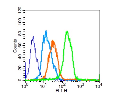 U251 cells probed with CD8 Polyclonal Antibody, Unconjugated (bs-4790R) for 30 minutes followed by incubation with a conjugated secondary (FITC Conjugated) (green) for 30 minutes compared to control cells (blue), secondary only (light blue) and isotype control (orange).