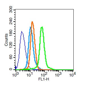 Hela cells probed with TGF alpha Polyclonal Antibody, Unconjugated (bs-0066R) for 30 minutes followed by incubation with a conjugated secondary (FITC conjugated) (green) for 30 minutes compared to control cells (blue), secondary only (light blue) and isotype control (orange).