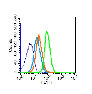 Mouse spleen cells were probed with NGFR Polyclonal Antibody (bs-7122R)  for 30 minutes followed by incubation with a FITC conjugated secondary (green) for 30 minutes compared to control cells (blue), secondary only (light blue) and isotype control (orange).\r\n