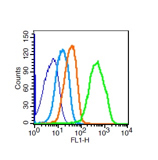 Mouse kidney lysates probed with VE Cadherin Polyclonal Antibody, Unconjugated (bs-0878R) at 3ug for 30 minutes followed by incubation with a FITC conjugated secondary (green) for 30 minutes compared to control cells (blue), secondary only (light blue) and isotype control (orange).