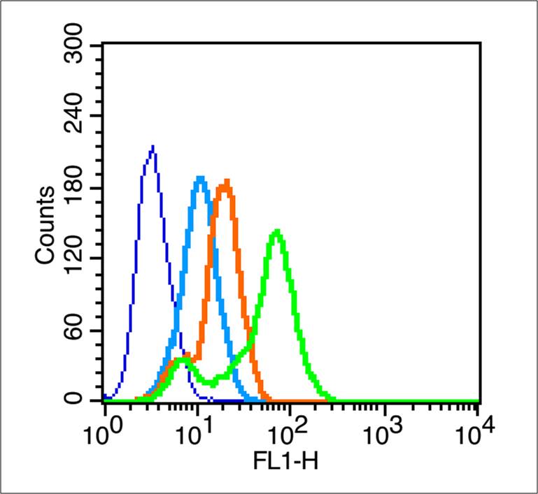 MCF-7 cells probed with CD147 Polyclonal Antibody, Unconjugated (bs-0684R) at 3ug for 30 minutes followed by incubation with a FITC conjugated secondary (green) for 30 minutes compared to control cells (blue), secondary only (light blue) and isotype control (orange).