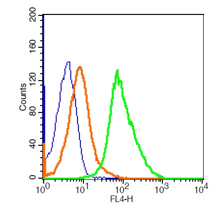 A549 cells probed with Prostaglandin E Receptor EP2 Antibody, ALEXA FLUOR® 647 Conjugated (bs-4196R-A647) at 5ug for 30 minutes compared to control cells (blue) and isotype control (orange).