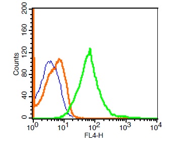 U937 cells probed with Rabbit Anti-p75 NGF Receptor Polyclonal Antibody, ALEXA FLUOR\u00ae 647 Conjugated (bs-0161R-A647)  at 1:100 for 30 minutes compared to control cells (blue) and isotype control (orange).