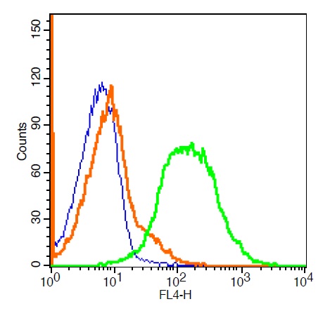 Lovo cells probed with Glypican 6 Polyclonal Antibody, ALEXA FLUOR® 647 Conjugated (bs-2177R-A647) at 1:100 for 30 minutes compared to control cells (blue)and isotype control (orange).