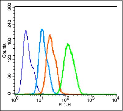 HepG2 cells probed with Cytochrome C Polyclonal Antibody, unconjugated (bs-0013) at 1:100 dilution for 30 minutes compared to control cells (blue) and isotype control (orange).