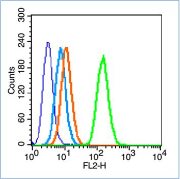 HL-60 cells probed with Insulin Receptor alpha Antibody, unconjugated (bs-0047R) at 1:100 dilution for 30 minutes compared to control cells (blue) and isotype control (orange)