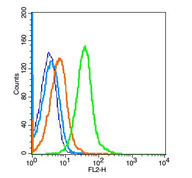Mouse spleen cells probed with VEGFR1 Polyclonal Antibody, unconjugated (bs-0170R) at 1:100 dilution for 30 minutes compared to control cells (blue) and isotype control (orange)
