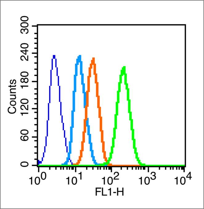 Hela cells probed with Connexin 43 Polyclonal Antibody, unconjugated (bs-0651R) at 1:100 dilution for 30 minutes compared to control cells (blue) and isotype control (orange)