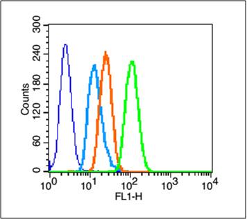 A431 cells probed with HSP27 Polyclonal Antibody, unconjugated (bs-0730R) at 1:100 dilution for 30 minutes compared to control cells (blue) and isotype control (orange)