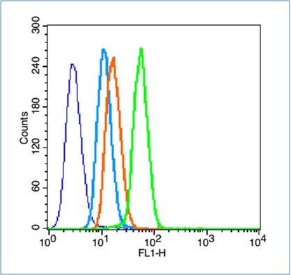 HeLa cells probed with HIF-1 Alpha Polyclonal Antibody, unconjugated (bs-0737R) at 1:100 dilution for 30 minutes compared to control cells (blue) and isotype control (orange)
