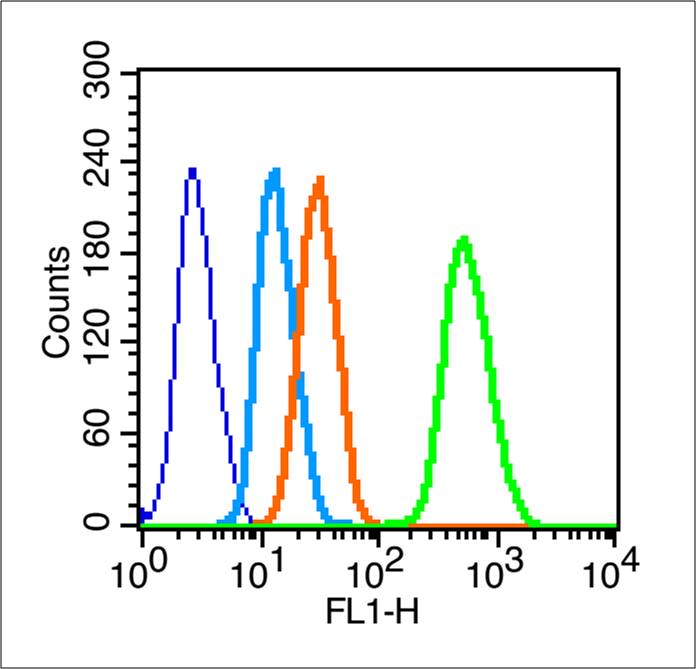 HeLa cells probed with Estrogen Receptor alpha + beta Antibody, unconjugated (bs-0829R) at 1:100 dilution for 30 minutes compared to control cells (blue) and isotype control (orange)