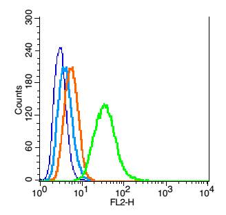 RSC96 cells probed with WDR26 Polyclonal Antibody, unconjugated (bs-0932R) at 1:100 dilution for 30 minutes compared to control cells (blue) and isotype control (orange)