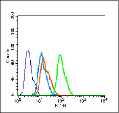 MCF-7 cells probed with Tau protein (Ser579) Polyclonal Antibody, unconjugated (bs-10108R) at 1:100 dilution for 30 minutes compared to control cells (blue) and isotype control (orange)