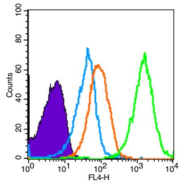 Mouse spleen cells probed with AMPK alpha-1 Polyclonal Antibody, unconjugated (bs-10344R) at 1:100 dilution for 30 minutes compared to control cells (blue) and isotype control (orange)