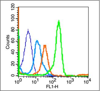 Mouse Spleen cells probed with CD8a Polyclonal Antibody, unconjugated (bs-10699R) at 1:100 dilution for 30 minutes compared to control cells (blue) and isotype control (orange)