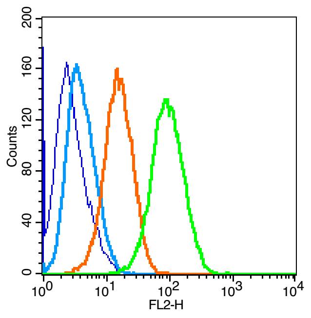 U-87MG cells were fixed with 4% PFA for 10min at room temperature ，permeabilized with 20% PBST for 20 min at room temperature , and incubated in 5% BSA blocking buffer for 30 min at room temperature. Cells were then stained with PERK Polyclonal Antibody at 1：50 dilution in blocking buffer and incubated for 30 min at -20℃, washed twice with 2%BSA in PBS, followed bysecondary antibody incubation for 40 min at room temperature. Acquisitions of 20,000 events were performed.