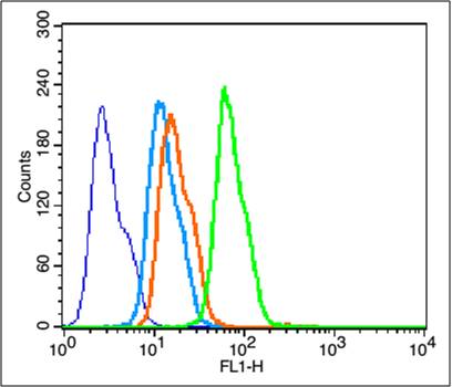 HepG2 cells were fixed with 4% PFA for 10min at room temperature, and incubated in 5% BSA blocking buffer for 30 min at room temperature. Cells were then stained with BDNF Polyclonal Antibody(bs-4989R) at 1:50 dilution in blocking buffer and incubated for 30 min at room temperature, washed twice with 2%BSA in PBS, followed by secondary antibody incubation for 40 min at room temperature. Acquisitions of 20,000 events were performed. Cells stained with primary antibody (green), no antibody control control (blue), secondary antibody only (light blue) and isotype control (orange).