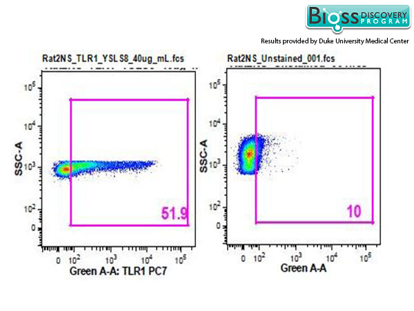 Rat splenocytes stained with Anti-TLR1 Polyclonal Antibody, PE-CY7 Conjugated (bs-1919R-PE-Cy7) at 1:25.