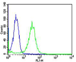 Hela cells probed with using MAFK (8C5) Monoclonal Antibody (green) unconjugated bsm-51274M at 1:25 for 30 minutes followed by A488 secondary antibody at 1:400 compared to an isotype control of mouse IgG1(blue).