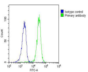 Hela cells probed with using RASSF2 (9C9) Monoclonal Antibody bsm-51348M at 1:25 for 30 minutes followed by A488 secondary antibody at 1:200 (green) compared to an isotype control of mouse IgG2a (blue).