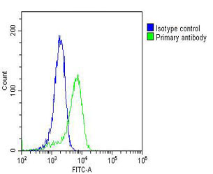 PC-3 cells probed with using RAB18 (3A8)  Monoclonal Antibody bsm-51333M at 1:25 for 60 minutes followed by A488 secondary antibody at 1:200 (green), compared to an isotype control of mouse IgG1 (blue). 