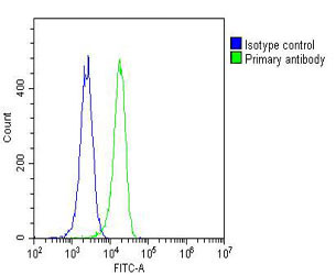 K562 cells probed with using RAB27A (9C6) Monoclonal Antibody bsm-51334M at 1:25 for 60 minutes followed by A488 secondary antibody at 1:200 (green) compared to an isotype control of mouse IgG1 (blue).
