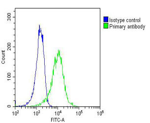A431 cells probed with using RAB27B (4G7) Monoclonal Antibody bsm-51331M at 1:25 for 60 minutes followed by A488 secondary antibody at 1:200 (green) compared to an isotype control of mouse IgG1 (blue).