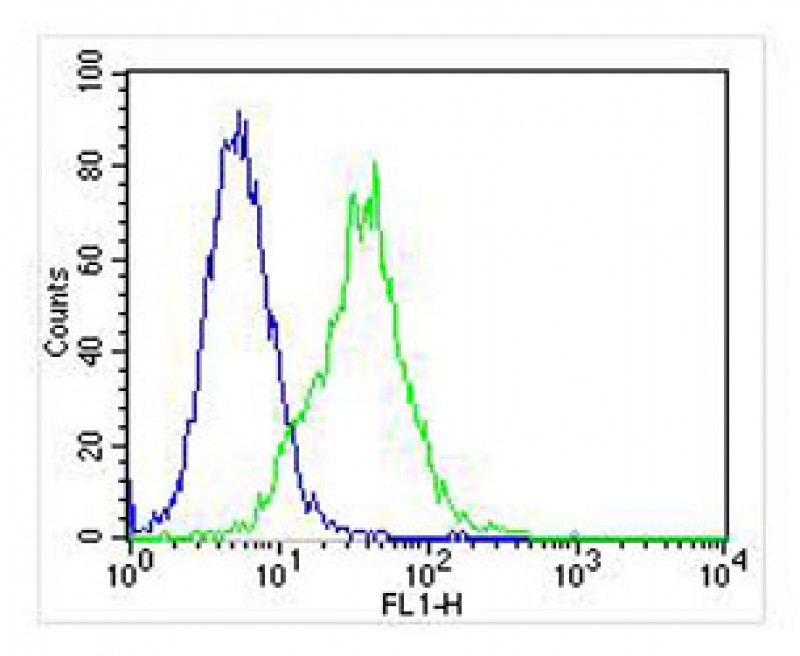 Jurkat cells probed with using HINT1 (5C3) Monoclonal Antibody bsm-51304M at 1:25 for 60 minutes at 37ºC followed by secondary antibody at 1:400 compared (green) compared to an isotype control of mouse IgG1 (blue).