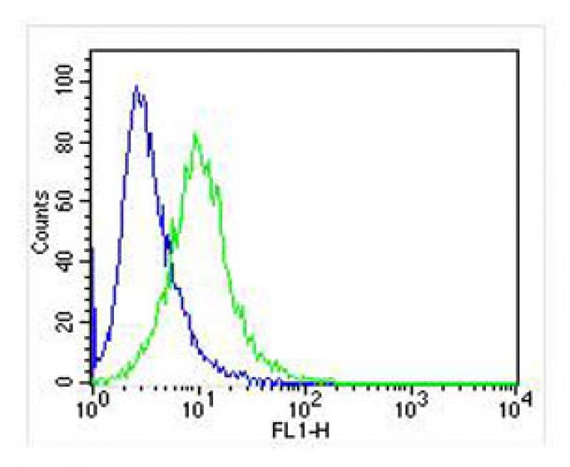 Jurkat cells probed with using IRF3 (2C4) Monoclonal Antibody bsm-51312M at 1:25 for 60 minutes at 37ºC followed by secondary antibody at 1:400 (green) compared to an isotype control of mouse IgG (blue).
