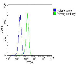 K562 cells probed with using NMI (8C9) Monoclonal Antibody (green) unconjugated bsm-51329M at 1:25 for 60 minutes at 37ºC followed by secondary antibody at 1:400 compared to an isotype control of mouse IgG1 (blue).