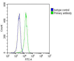 K562 cells probed with using ETS1 (1C1) Monoclonal Antibody (green) unconjugated bsm-51344M at 1:25 for 60 minutes at 37ºC followed by secondary antibody at 1:400 compared to an isotype control of mouse IgG2b (blue).