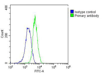 U-2OS cells probed with using RAB5C (6C1) Monoclonal Antibod bsm-51343M at 1:25 for 60 minutes at 37ºC followed by secondary antibody (green) at 1:400 compared to an isotype control of mouse IgG2b (blue).