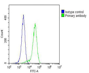 Hela cells probed with using GARS (1C6) Monoclonal Antibody (green) unconjugated bsm-51350M at 1:25 for 60 minutes at 37ºC followed by secondary antibody at 1:200 compared to an isotype control of mouse IgG1 (blue).