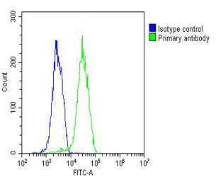 HUVEC cells probed with using PLIN3 (1C4) Monoclonal Antibody (green) unconjugated bsm-51361M at 1:25 for 60 minutes at 37ºC followed by secondary antibody at 1:200 compared to an isotype control of mouse IgG1 (blue).