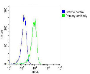 A431 cells probed with RYK (1C1) Monoclonal Antibody (green) unconjugated bsm-51365M at 1:25 for 60 minutes at 37ºC followed by secondary antibody at 1:200 (green), compared to an isotype control of mouse IgG1 (blue).