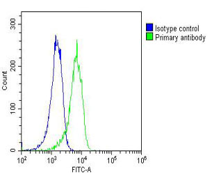 A431 cells probed with using RAB1B (3C3) Monoclonal Antibody (green) unconjugated bsm-51363M at 1:25 for 60 minutes at 37ºC followed by secondary antibody at 1:200 compared to an isotype control of mouse IgG1 (blue).