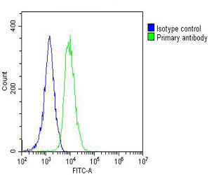 U-2OS cells probed with using FGFR1OP2 (5C4) Monoclonal Antibody (green) unconjugated bsm-51372M at 1:25 for 60 minutes at 37ºC followed by secondary antibody at 1:200 compared to an isotype control of mouse IgG2a (blue).