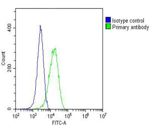 Hela cells probed with using MP2K1 (8C8) Monoclonal Antibody (green) unconjugated bsm-51364M at 1:25 for 60 minutes at 37ºC followed by secondary antibody at 1:200 compared to an isotype control of mouse IgG1 (blue).