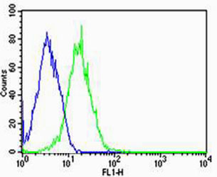 HepG2 cells probed with using PPT1 (10G4) Monoclonal Antibody (green) unconjugated bsm-51262M at 1:25 for 60 minutes at 37ºC followed by secondary antibody at 1:200 compared to an isotype control of mouse IgG (blue).