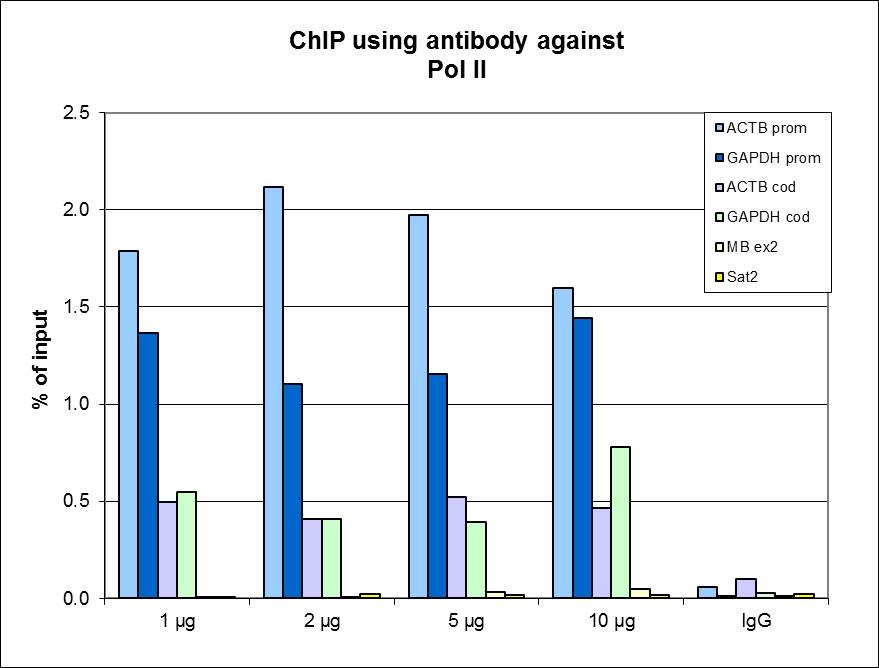 ChIP assays were performed using  HeLa cells, the \r\nPol II Monoclonal Antibody (bsm-53004M) and optimized PCR primer pairs for qPCR. ChIP was performed using sheared chromatin from 1 million cells. A titration consisting of 1, 2, 5 and 10 \u03bcg of antibody per ChIP experiment was analyzed. IgG (2 \u03bcg\/IP) was used as a negative IP control. Quantitative PCR was performed with primers specific for the promoter and the coding region of the constitutively expressed GAPDH and ACTB genes as positive controls, exon 2 of the inactive myoglobin (MB) gene and the Sat2 satellite repeat used as negative controls. Figure shows the recovery, expressed as a % of input (the relative amount of immunoprecipitated DNA compared to input DNA after qPCR analysis).