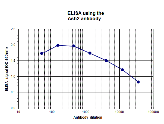 To determine the titer, an ELISA was performed using a serial dilution of the Ash2 antibody (bs-53055R). The wells were coated with the peptides used for immunization of the host rabbit. By plotting the absorbance against the antibody dilution, the titer of the antibody was estimated to be 1:24,000.