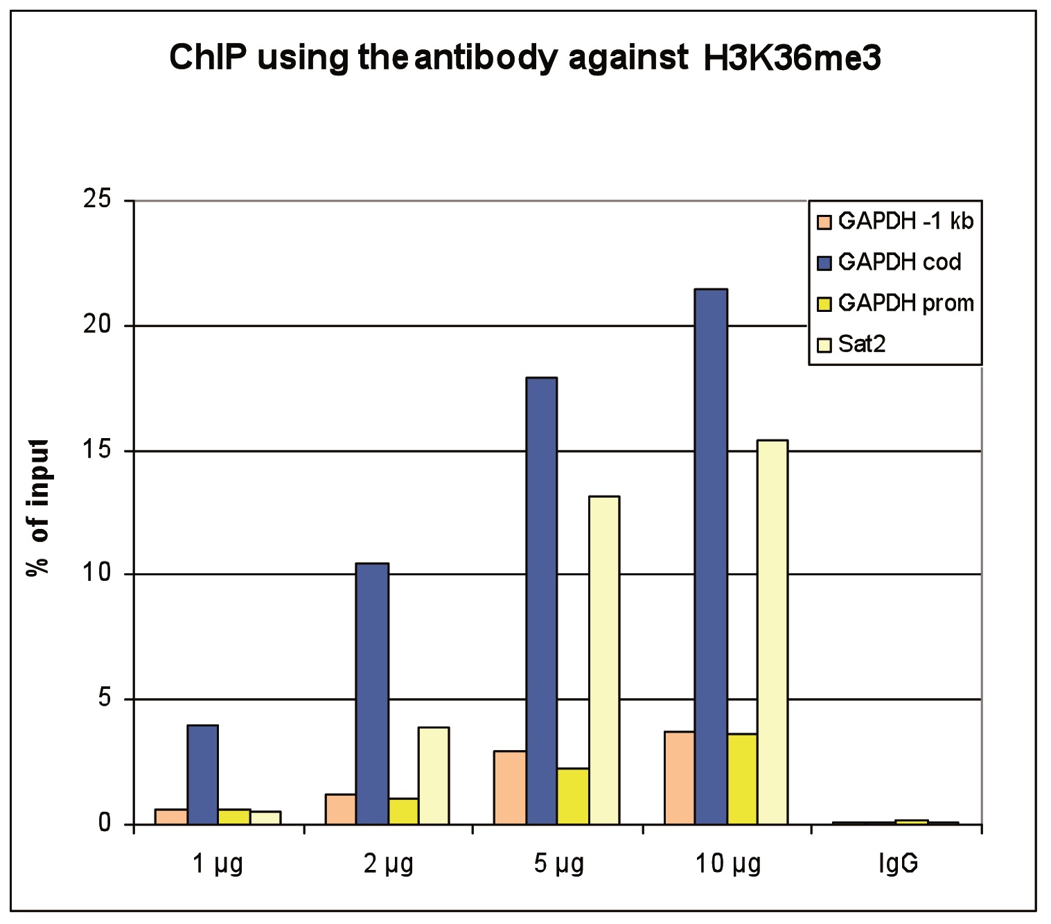 ChIP assays were performed using HeLa cells, the Bioss antibody against H3K36me3 (Cat. No. bs-53116R) and optimized PCR primer sets for qPCR. ChIP was performed using sheared chromatin from 1 million cells on the SX-8G IP-Star automated system. A titration consisting of 1, 2, 5 and 10 μg of antibody per ChIP experiment was analyzed. IgG (2 μg/IP) was used as a negative IP control. QPCR was performed with primers for the promoter and coding region of the active GAPDH, for a region located 1 kb upstream of the GAPDH promoter and for the Sat2 satellite repeat. The figure shows the recovery expressed as a % of input (the relative amount of immunoprecipitated DNA compared to input DNA after qPCR analysis).