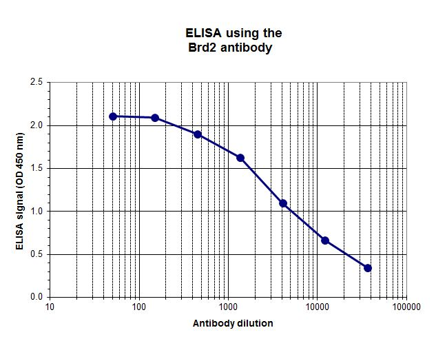 To determine the titer, an ELISA was performed using a serial dilution of the Brd2 antibody (bs-53056R). The wells were coated with the peptide. By plotting the absorbance against the antibody dilution, the titer of the antibody was estimated to be 1:5,000.