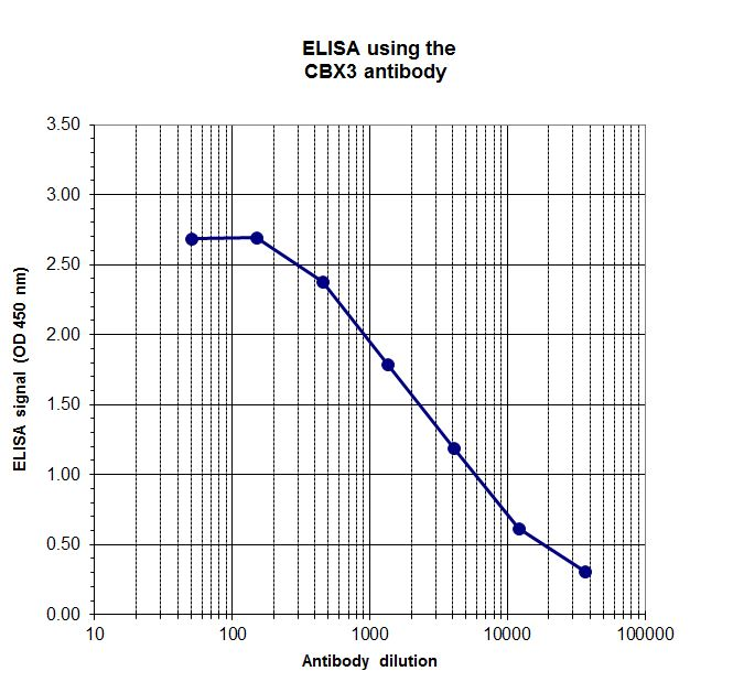 To determine the titer of the antibody, an ELISA was performed using a serial dilution of the CBX3 antibody (bs-53080R). The plates were coated with peptides. By plotting the absorbance against the antibody dilution, the titer of the antibody was estimated to be 1:3,250