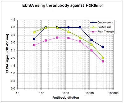 To determine the titer of the antibody, an ELISA was performed using a serial dilution of the Bioss antibody directed against human H3K9me1 (Cat. No. bs-53120R), crude serum and flow through in antigen-coated wells. The antigen used was a peptide containing the histone modification of interest. By plotting the absorbance against the antibody dilution, the titer of the antibody was estimated to be 1:68,000.