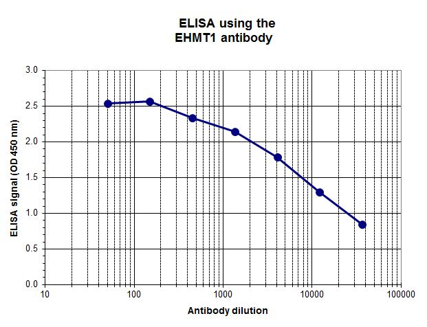 To determine the titer, an ELISA was performed using a serial dilution of the EHMT1 antibody (bs-53068R). The wells were coated with peptides. By plotting the absorbance against the antibody dilution, the titer of the antibody was estimated to be 1:2,000.